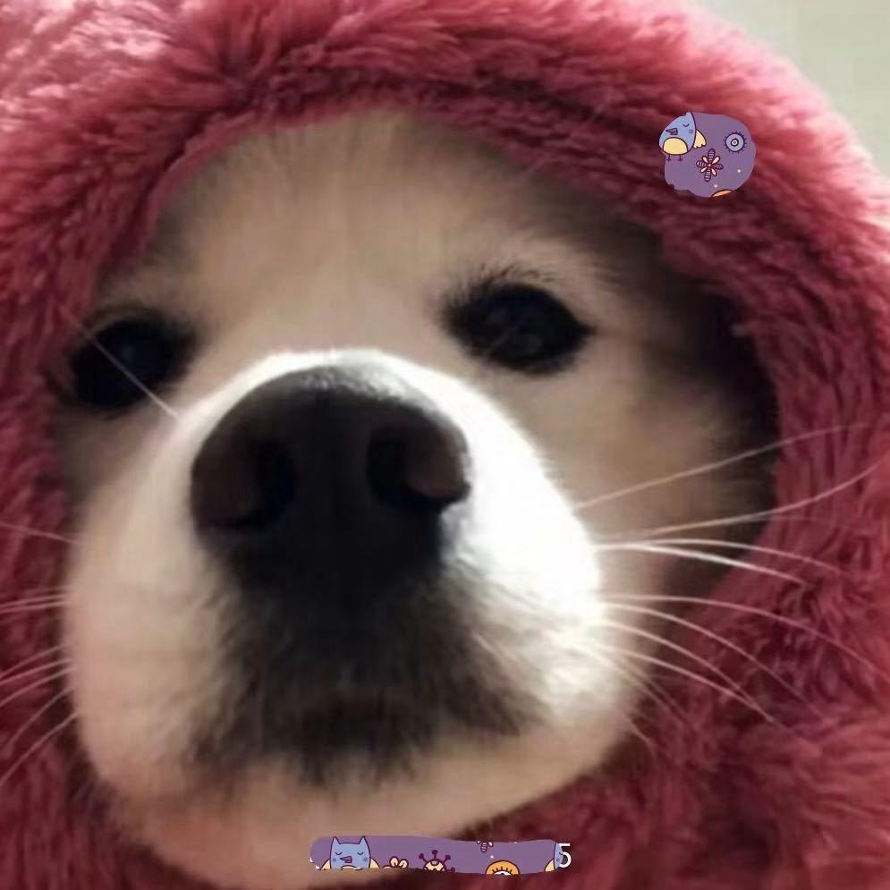 风与雨