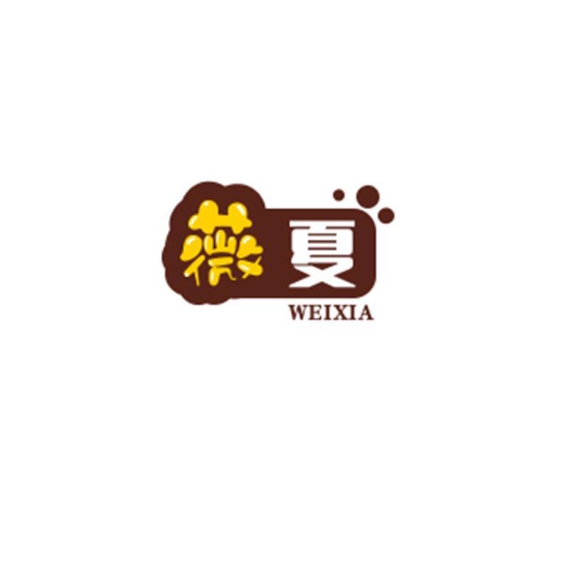 初伴薇夏专卖店