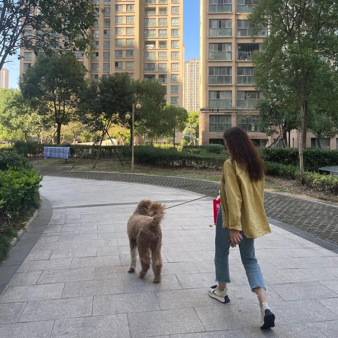 前湾青柠美学