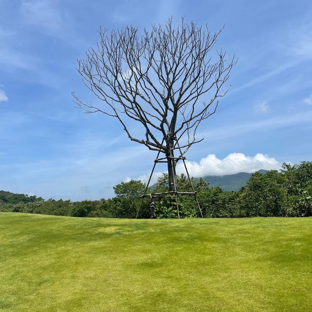 注册资本实缴咨询中心