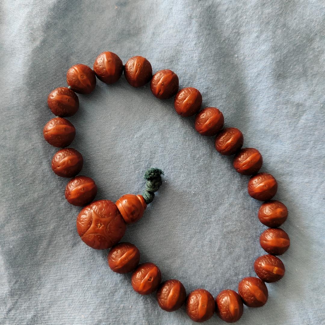 露娜LUNA-凤眼菩提