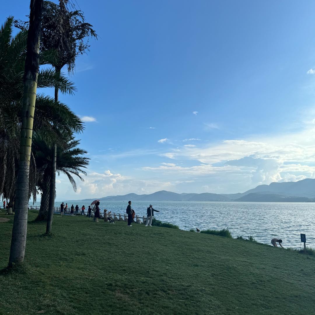 下次看海约在哪