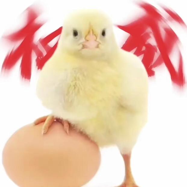 小乔