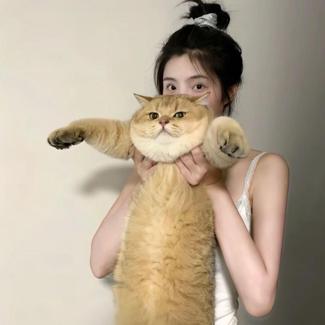 耶耶🐣