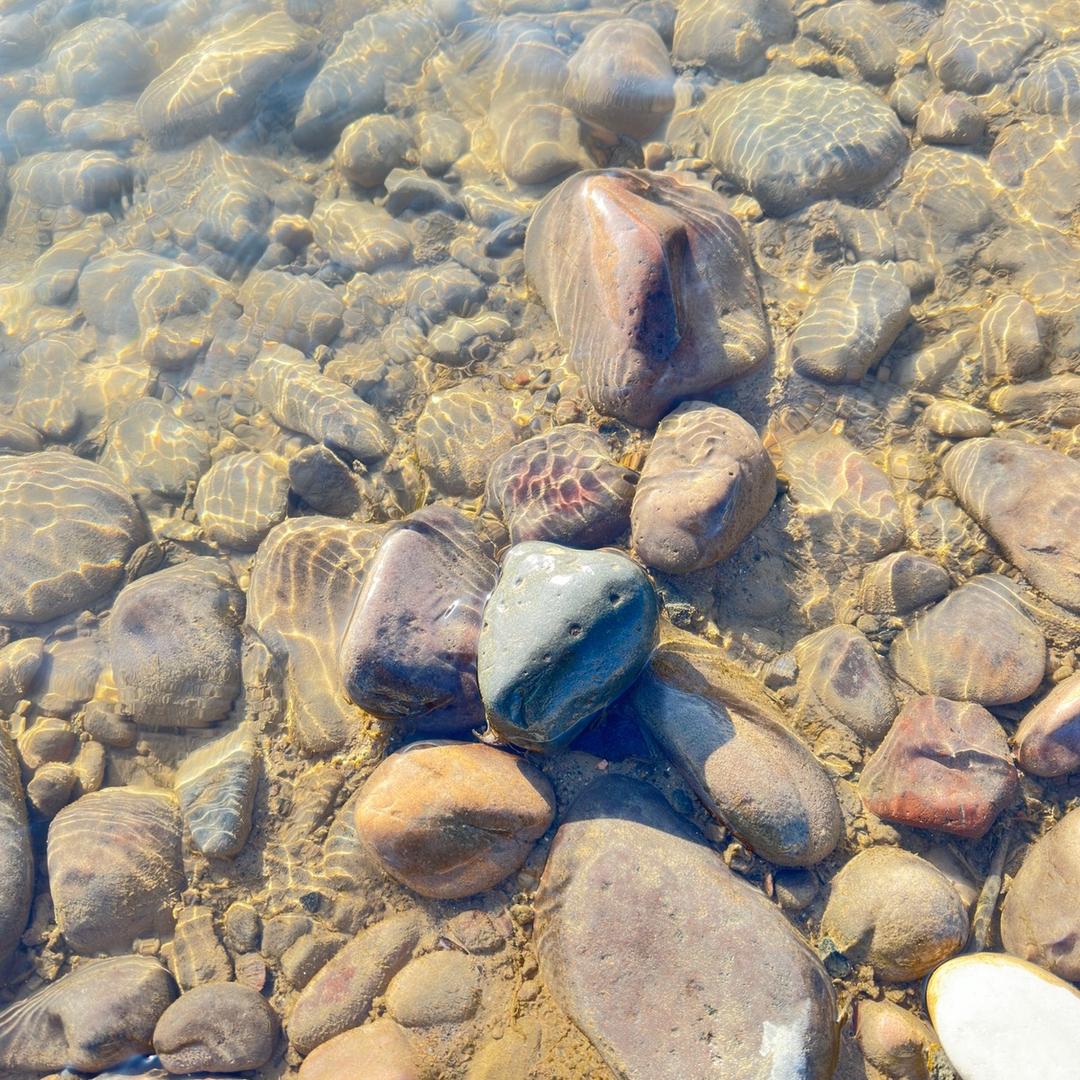 金@