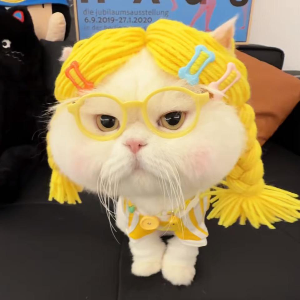 晶晶早上好☀️