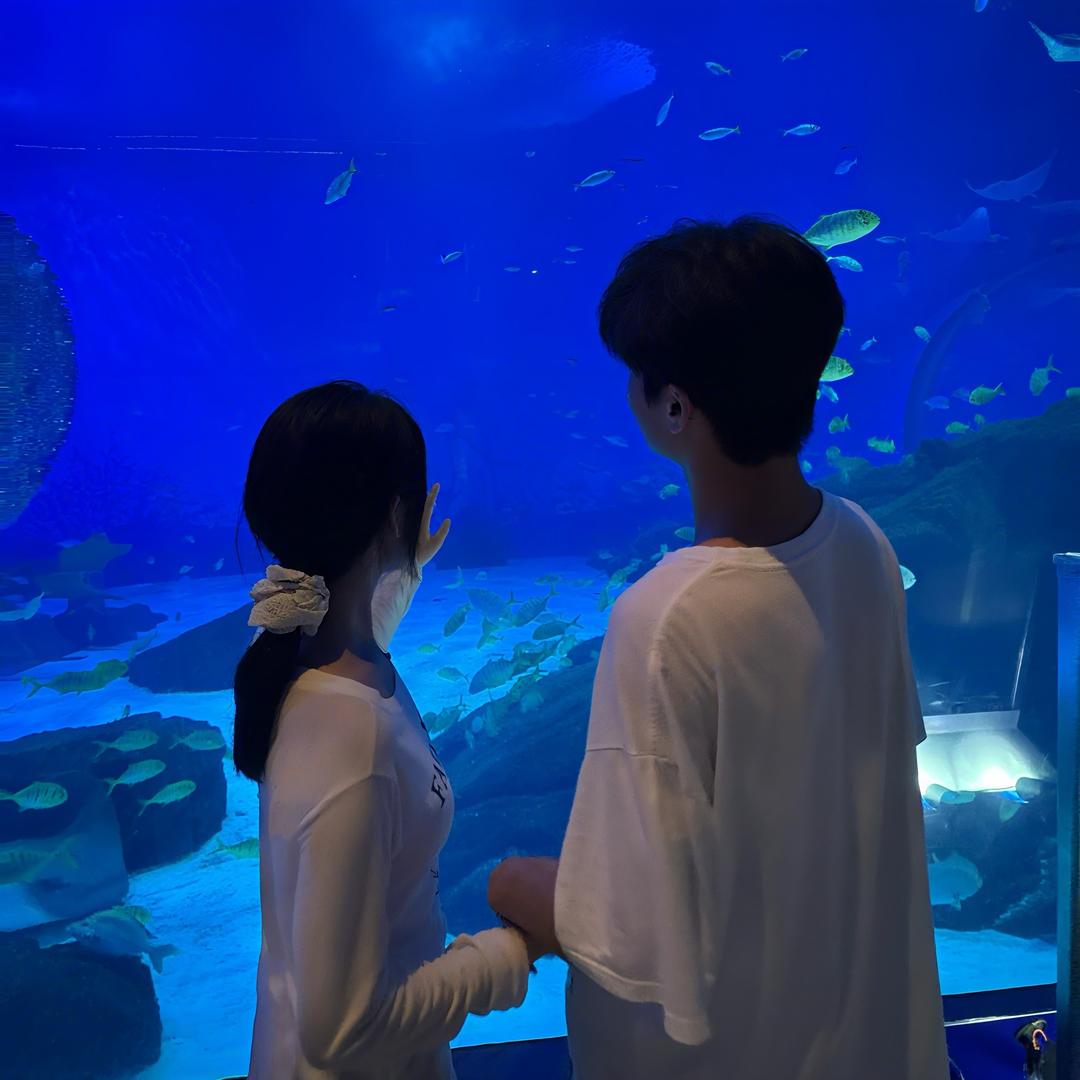 暴富.