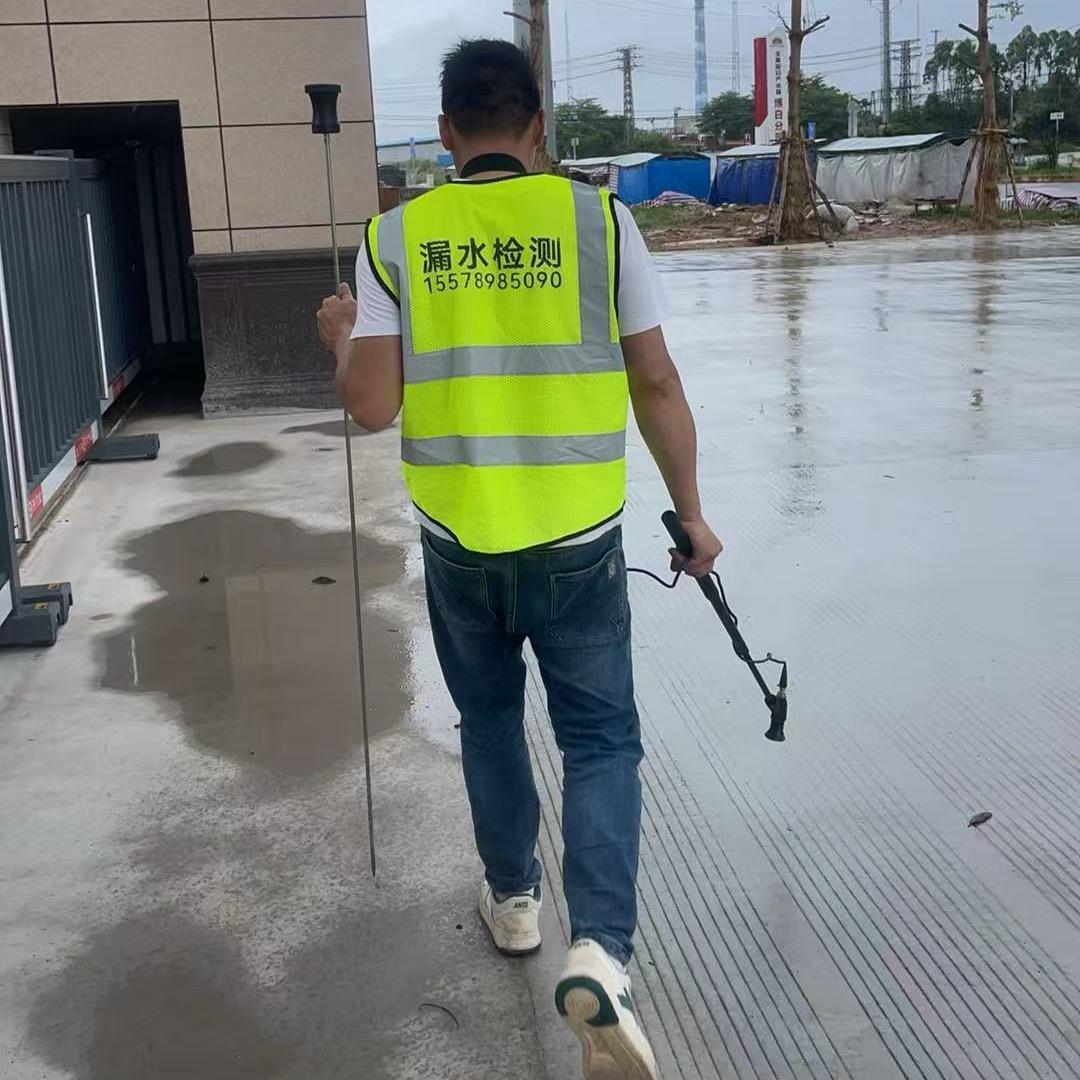 杨