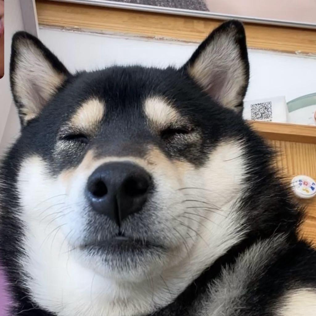 爱如火