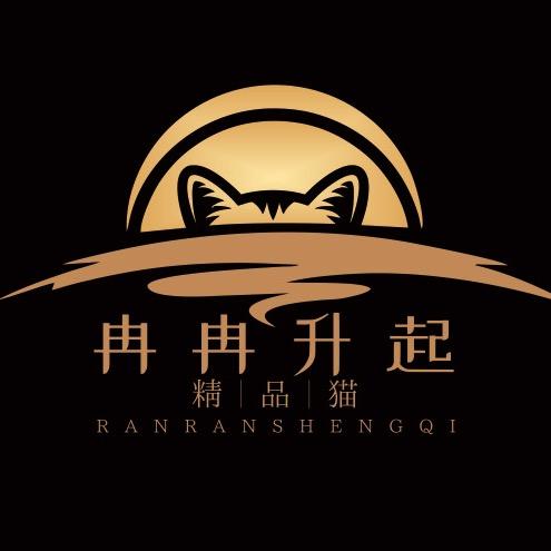 冉冉升起🐱
