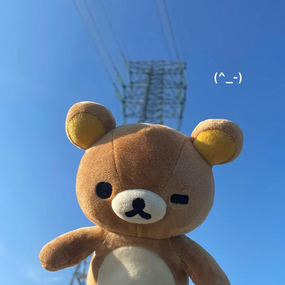 爱吃汉堡