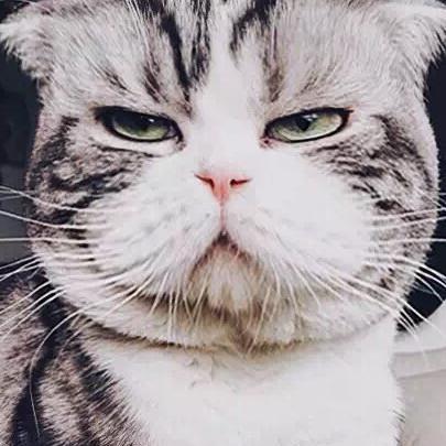 钢蛋已被李思源注册