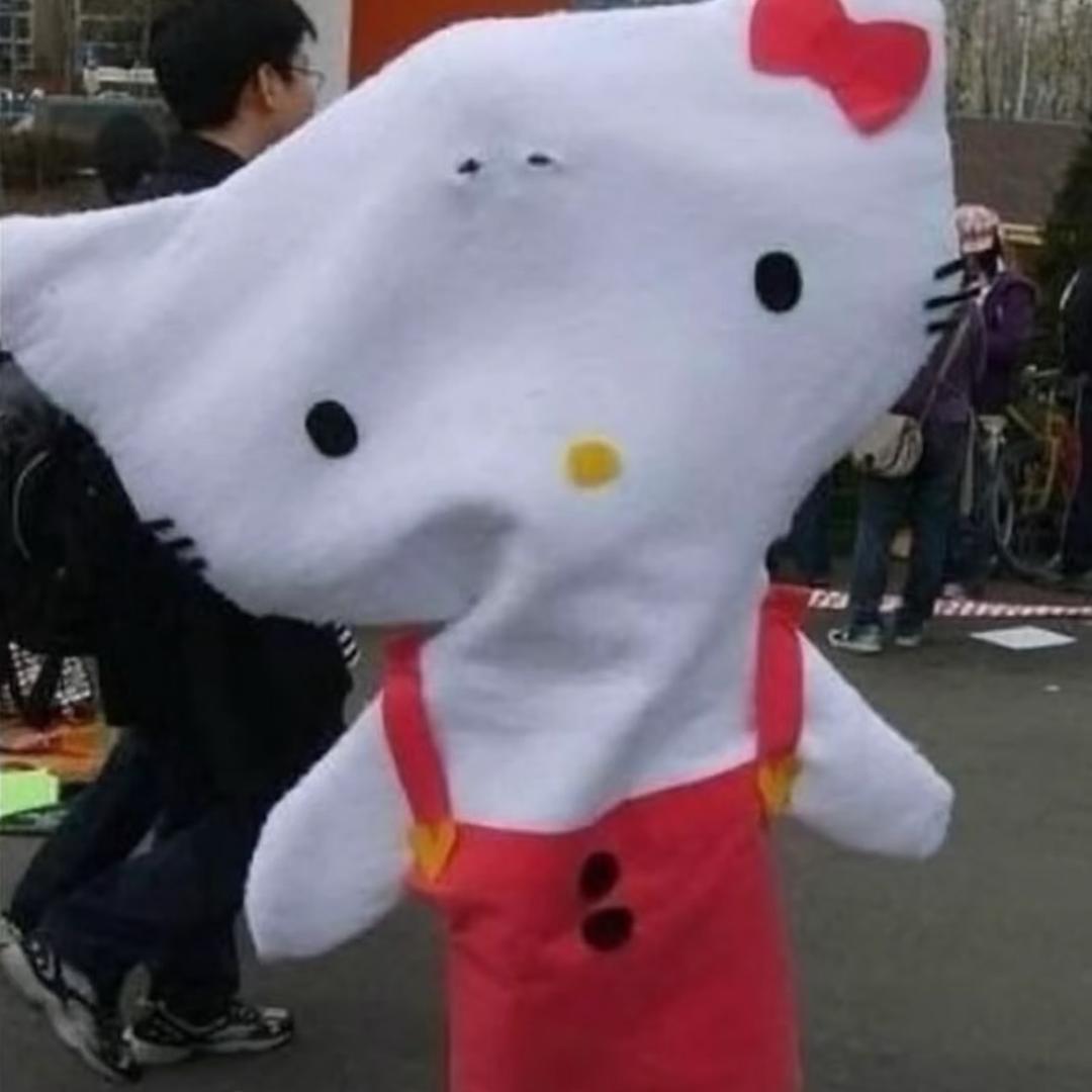 zz猪不困