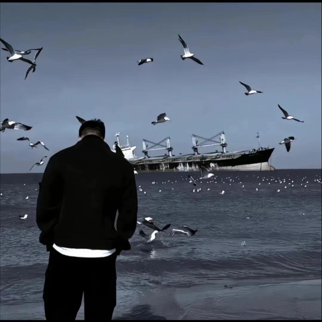 荒漠孤狼