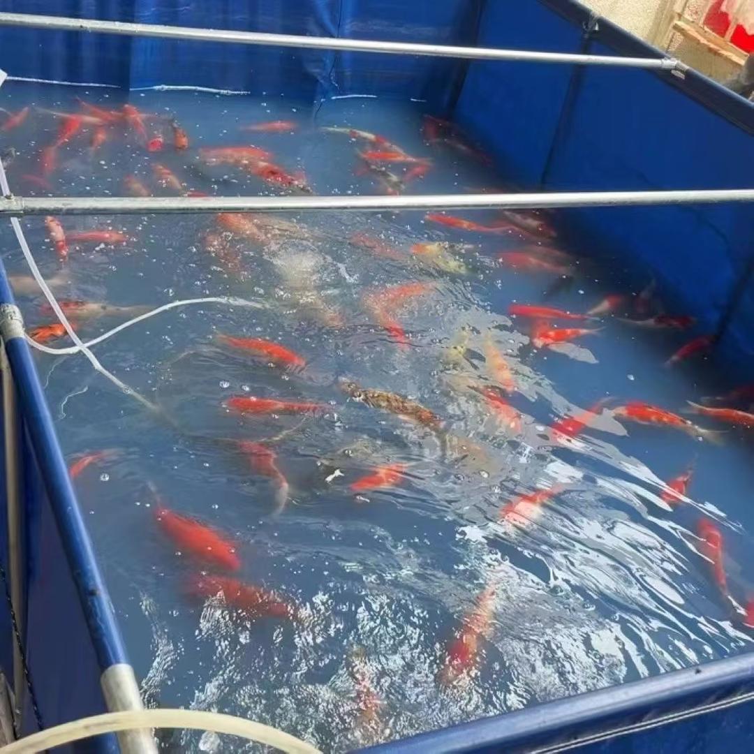非凡刀刮布帆布鱼池