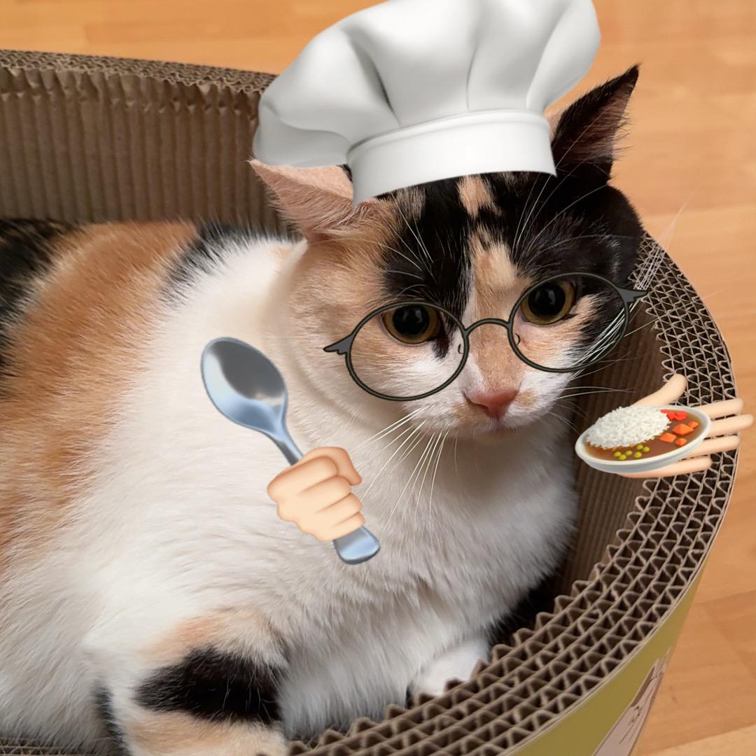 薯薯啃ni🌻（26号有空）