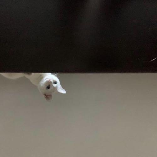 ༄྄ེིོུ 万里阳光ཉི࿔࿆࿐ོ