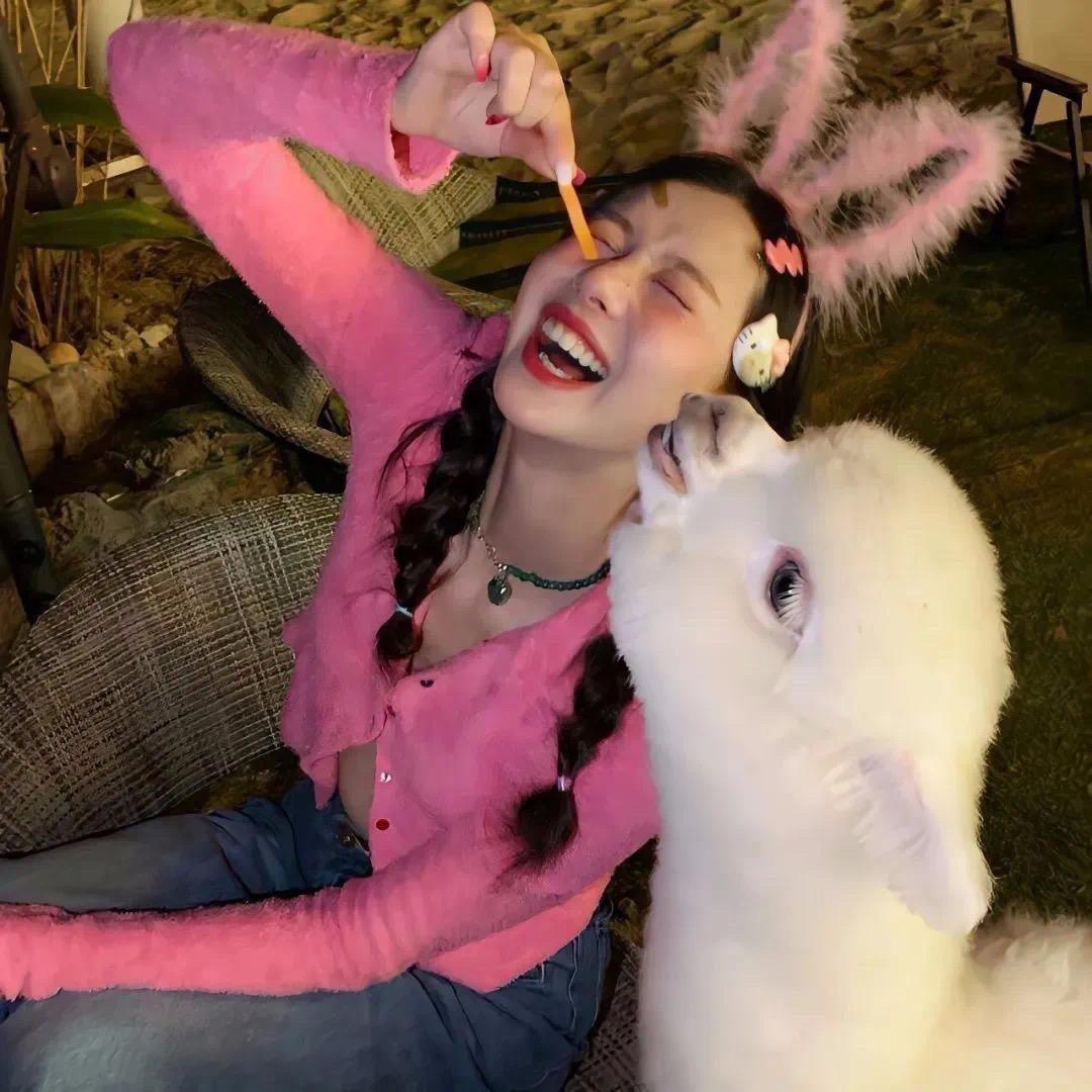 Happy小猪