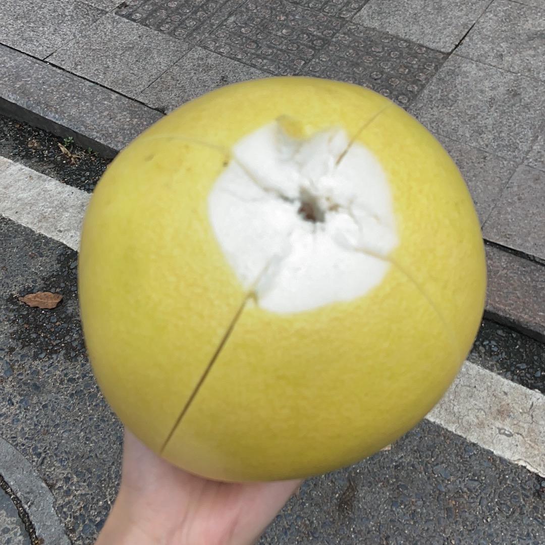 咸人打怪