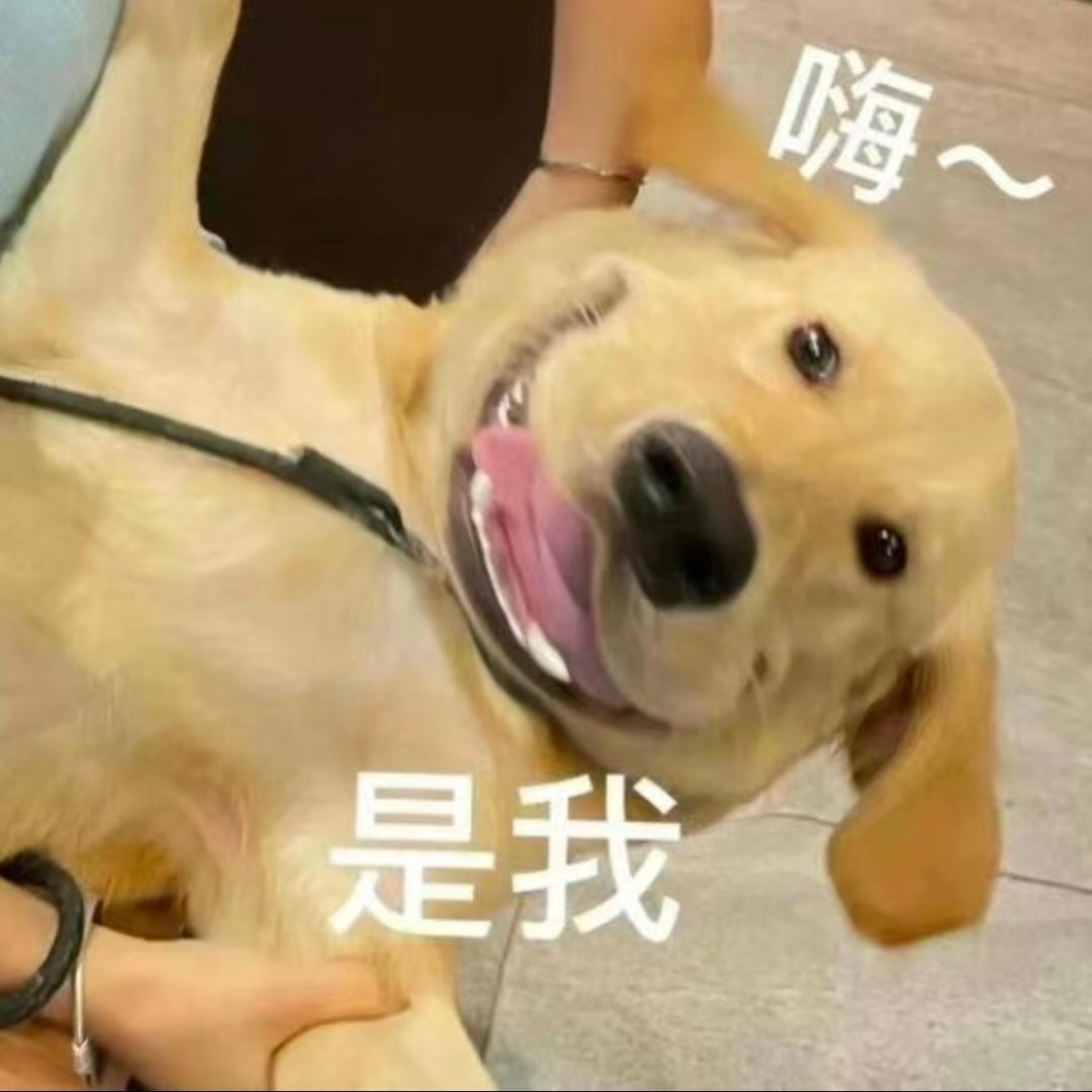 是什么好登西