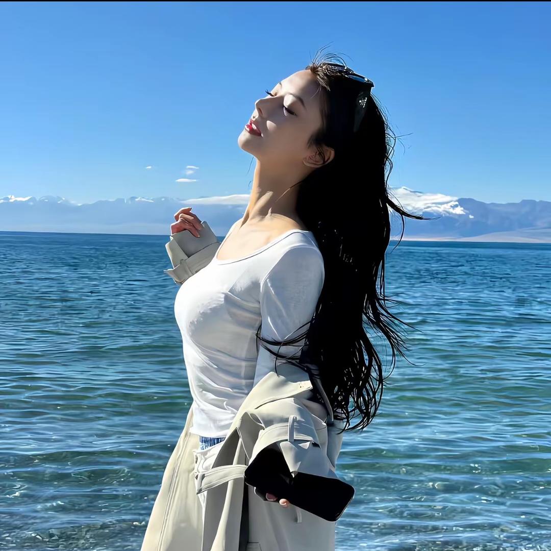李Can