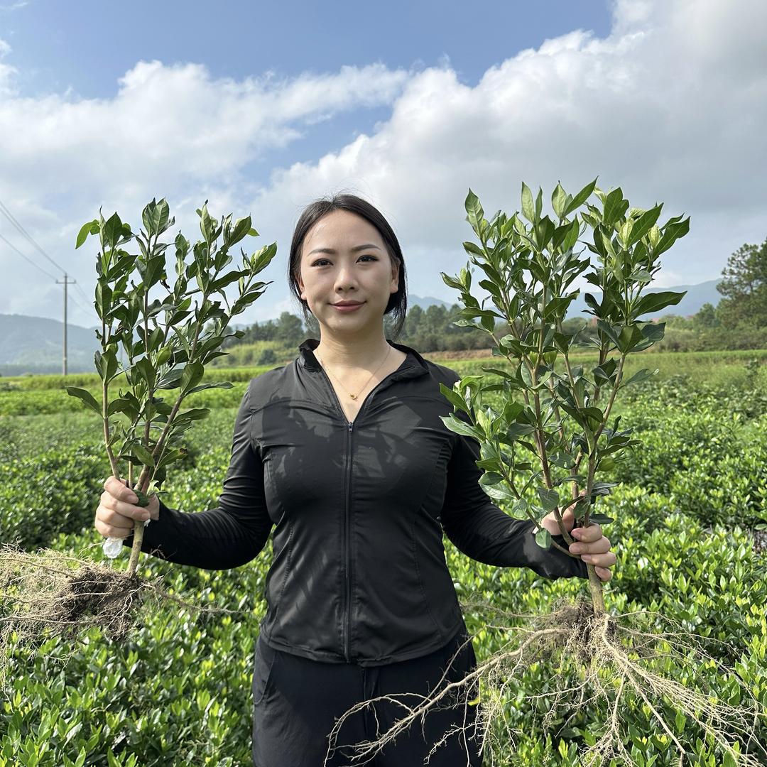 高老师种植基地
