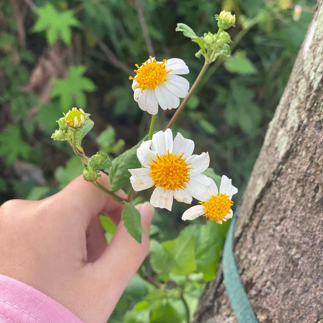 安静在你心里🌸