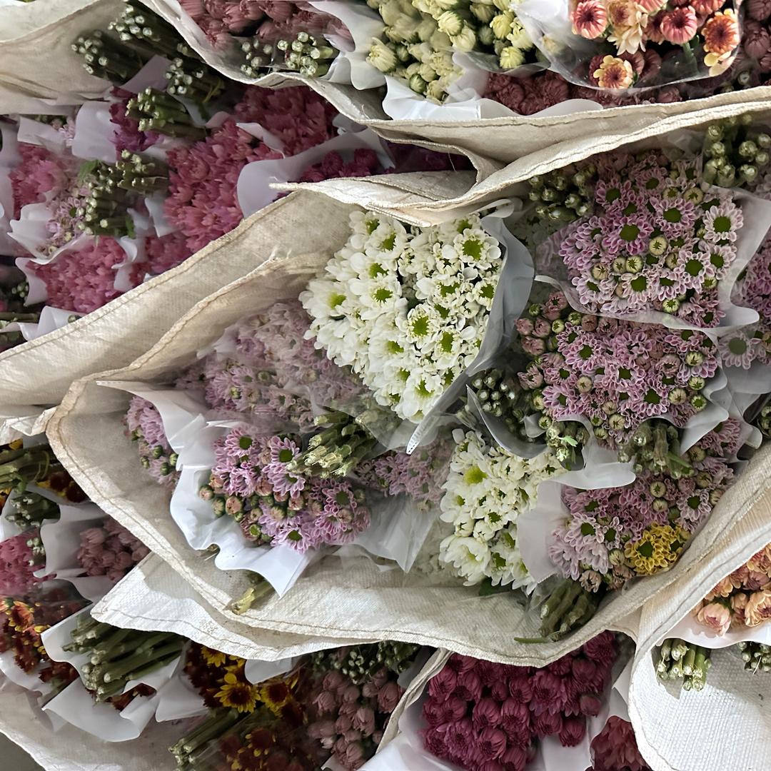 苏北鲜切花基地