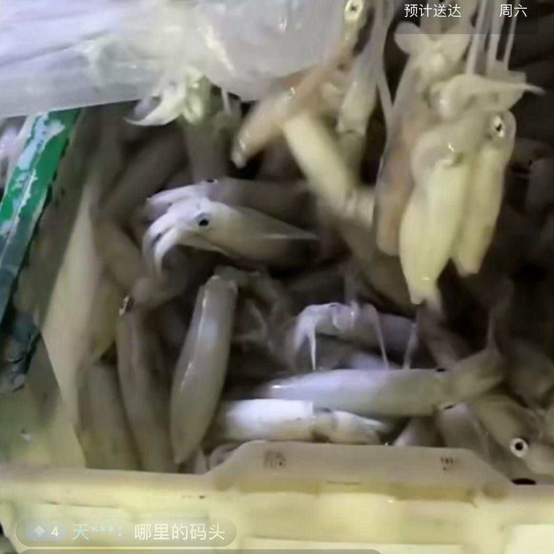 🐾ꦿ九命猫᭄小海鲜