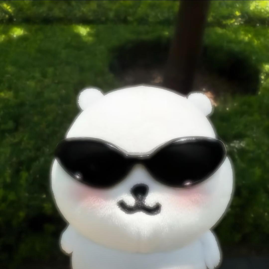 史迪奇.