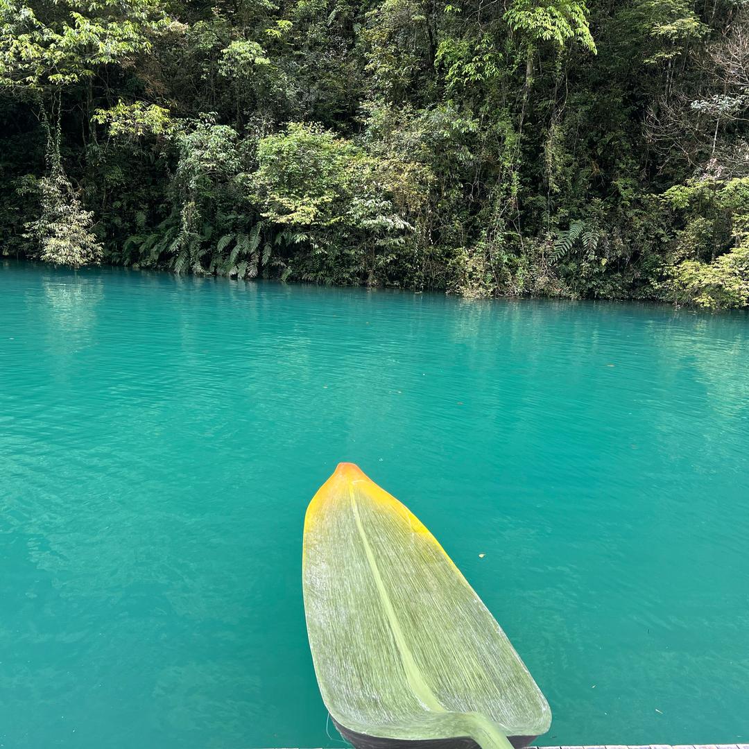 小妖的金色城堡