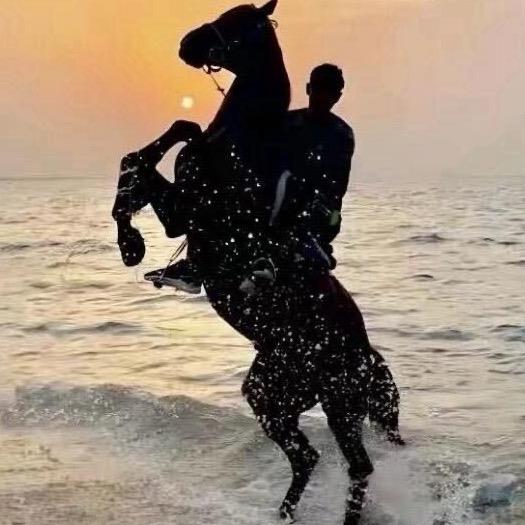 当时只道是寻常