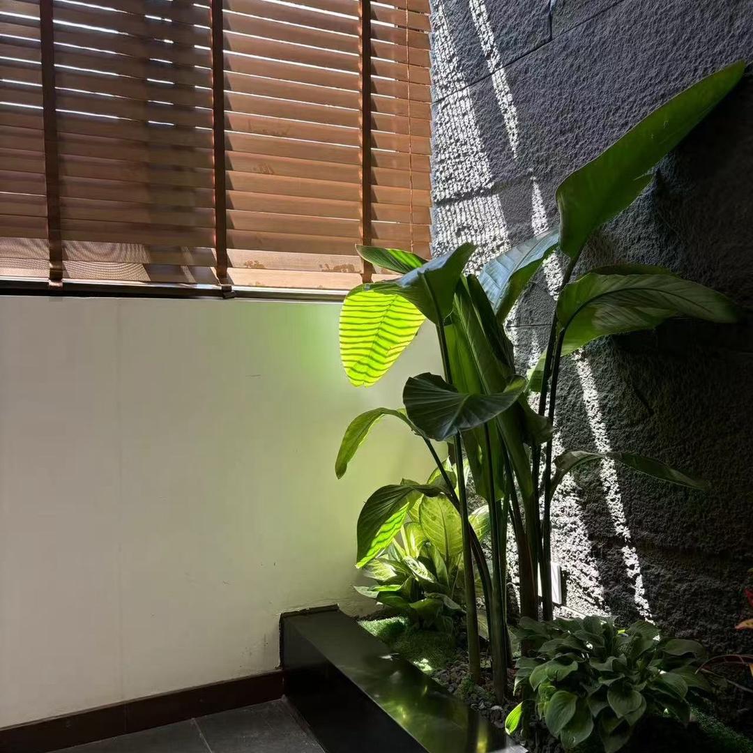 鼎