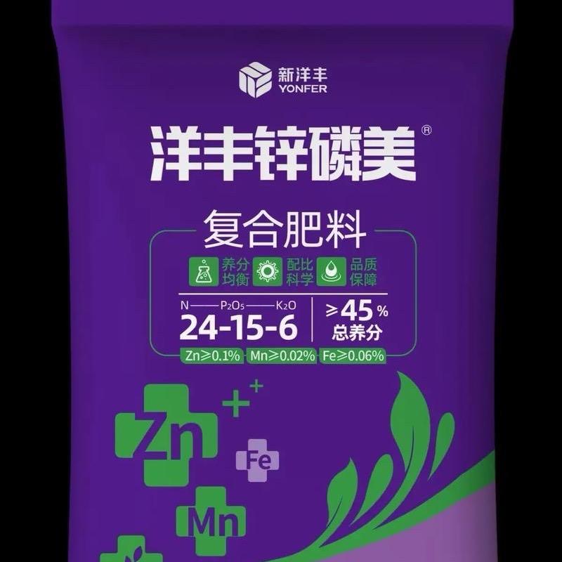 龙