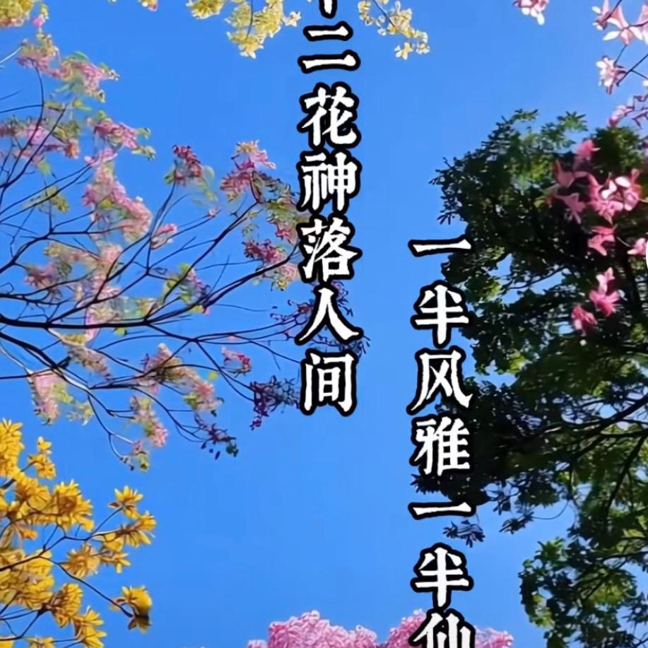 剑胆琴心（James）