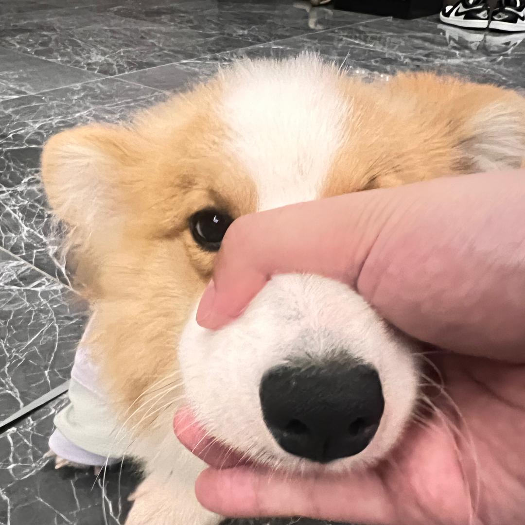 工大秦子