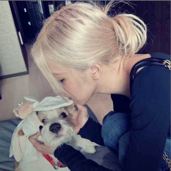 ㅤㅤ ㅤㅤㅤㅤ ㅤㅤㅤㅤ芳.🫧🩵