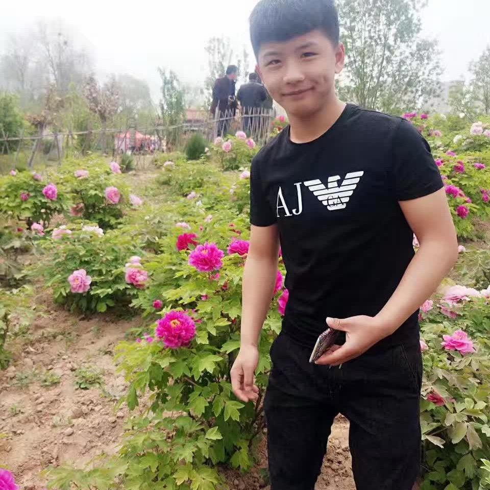 是鑫鑫。