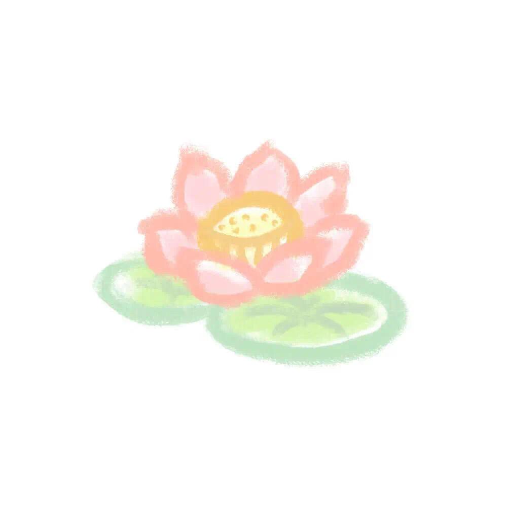朵朵