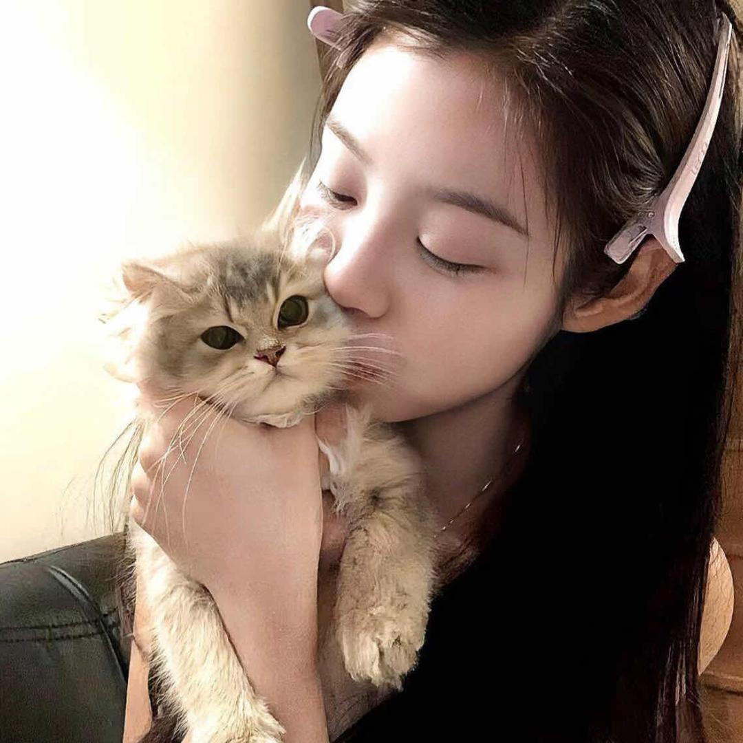 昆仑山脉旋转茶杯奶油泡芙