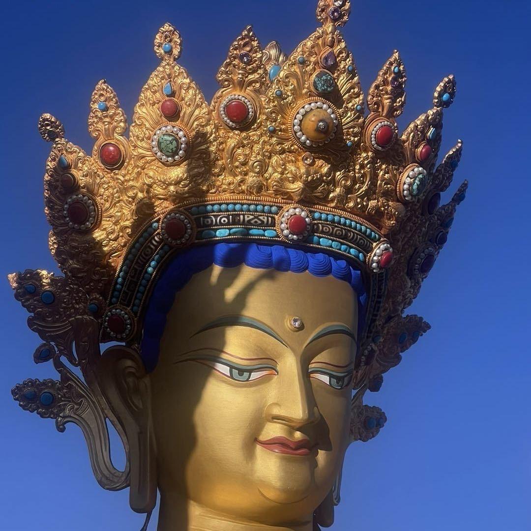 ཉི太མའི阳ལྷ藏བྱ白དཀར鸽པོ