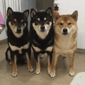 多多亿上