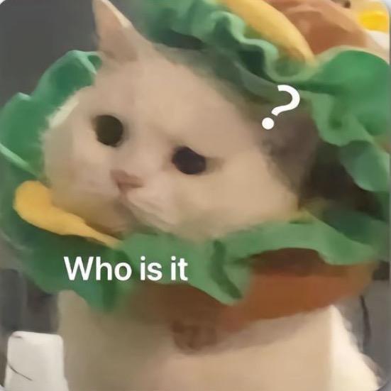 七七