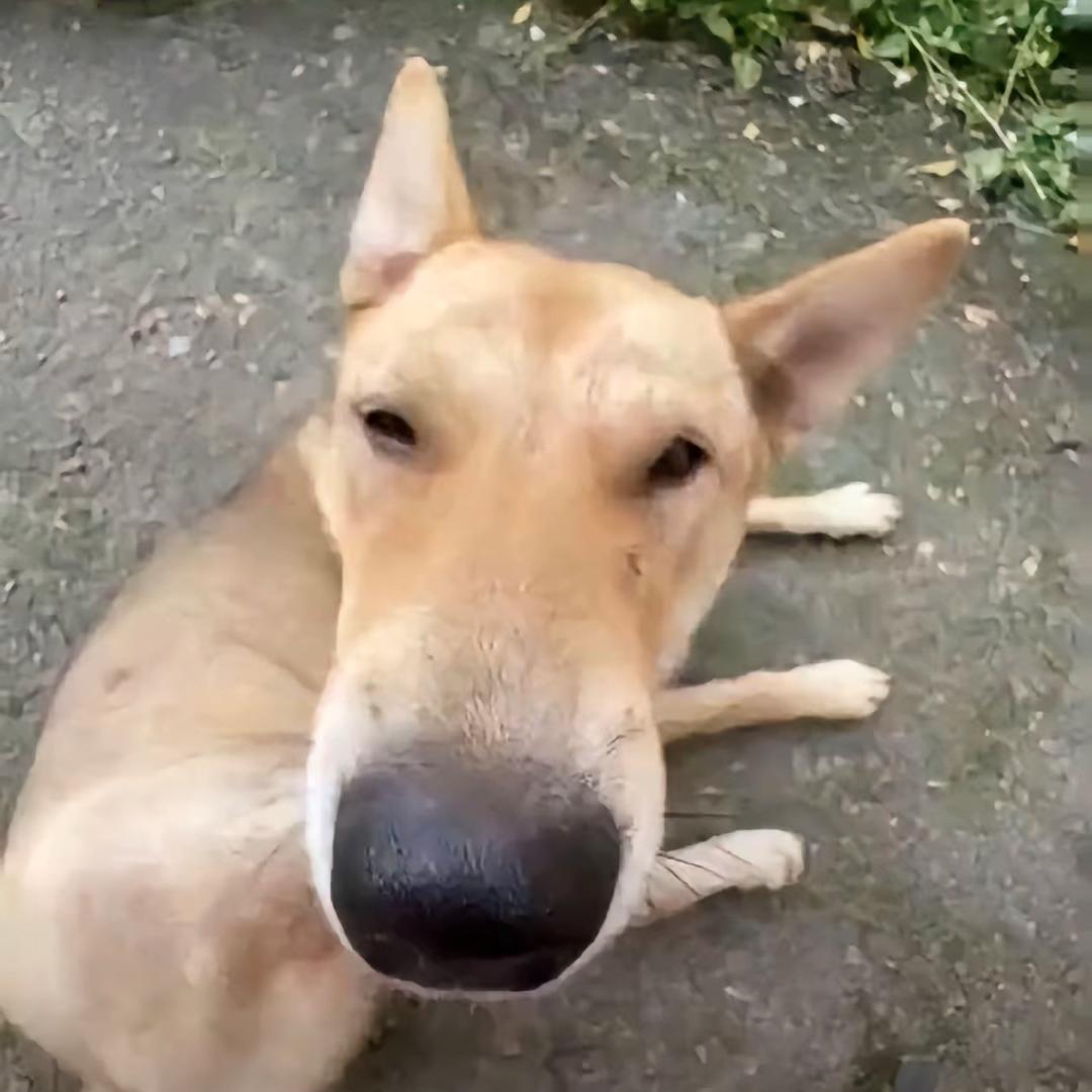 穿秋裤
