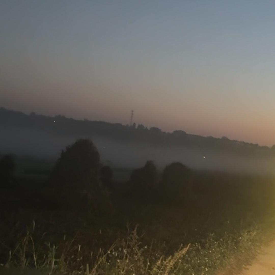 小芒果