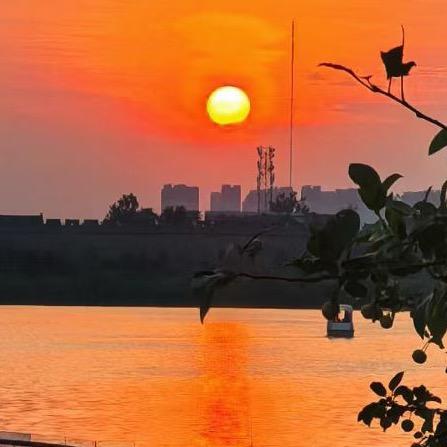 孟总来了（优选好物）