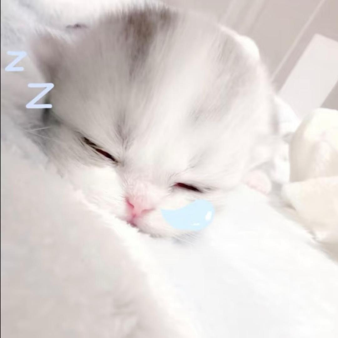 主角小涵