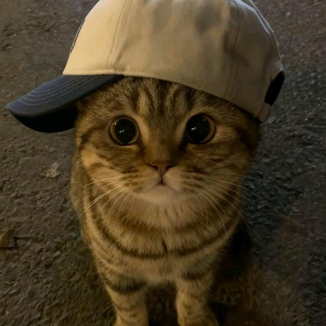 戴馨菲的勾