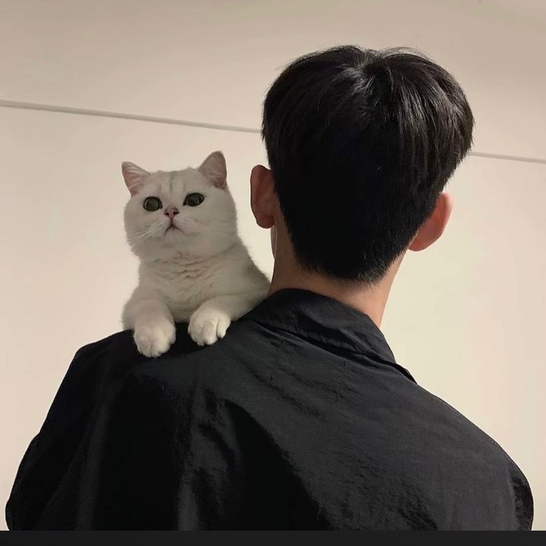 涛哥哥