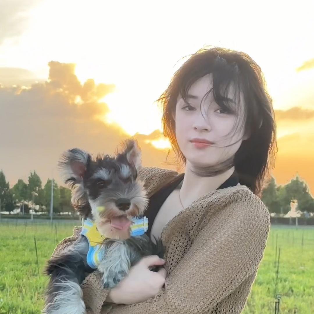 小狐狸